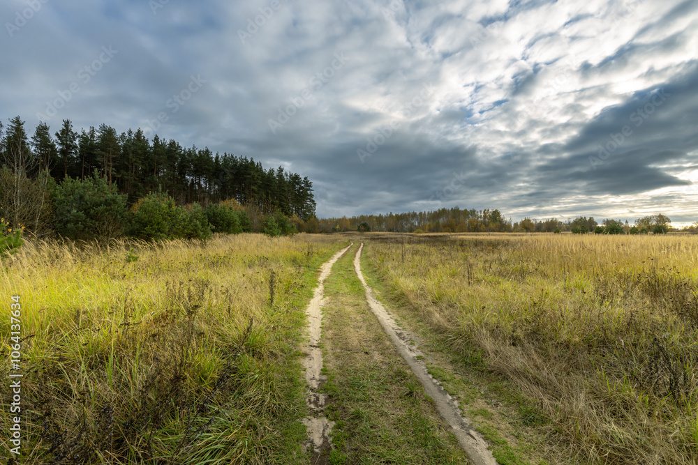 A dirt road in a field with trees in the background A dirt road in a field with trees in the background