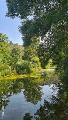 Les bords de la Sals près de Coustaussa