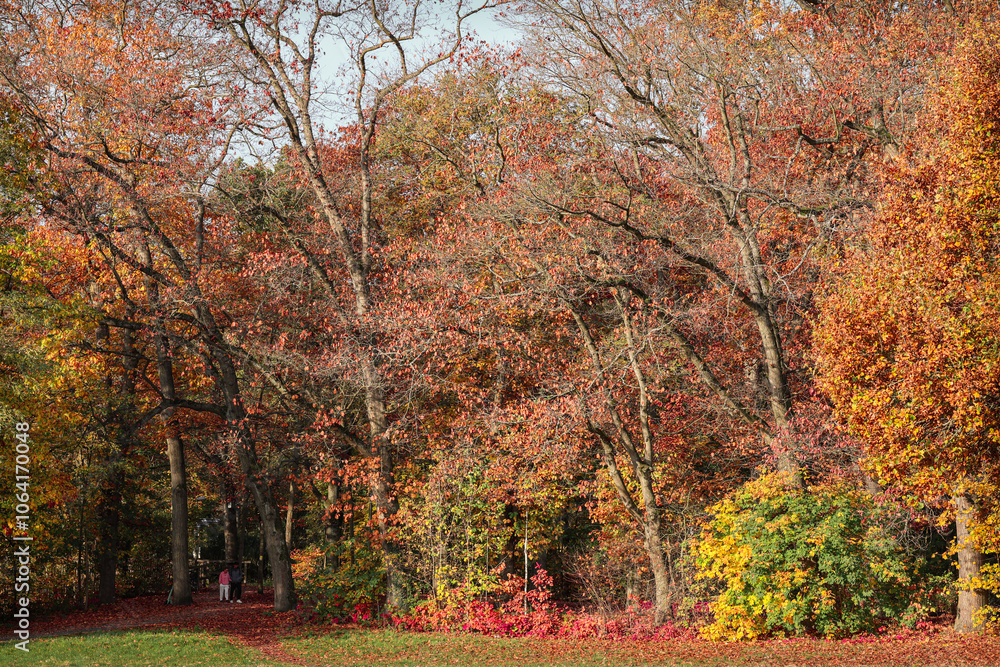 Naklejka premium Herbst Wanderung Erlangen