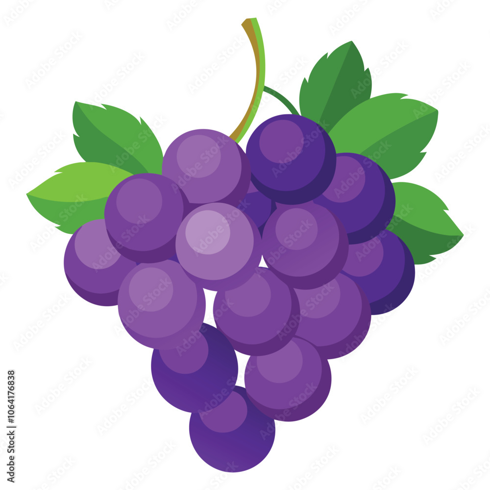 grapes on white background