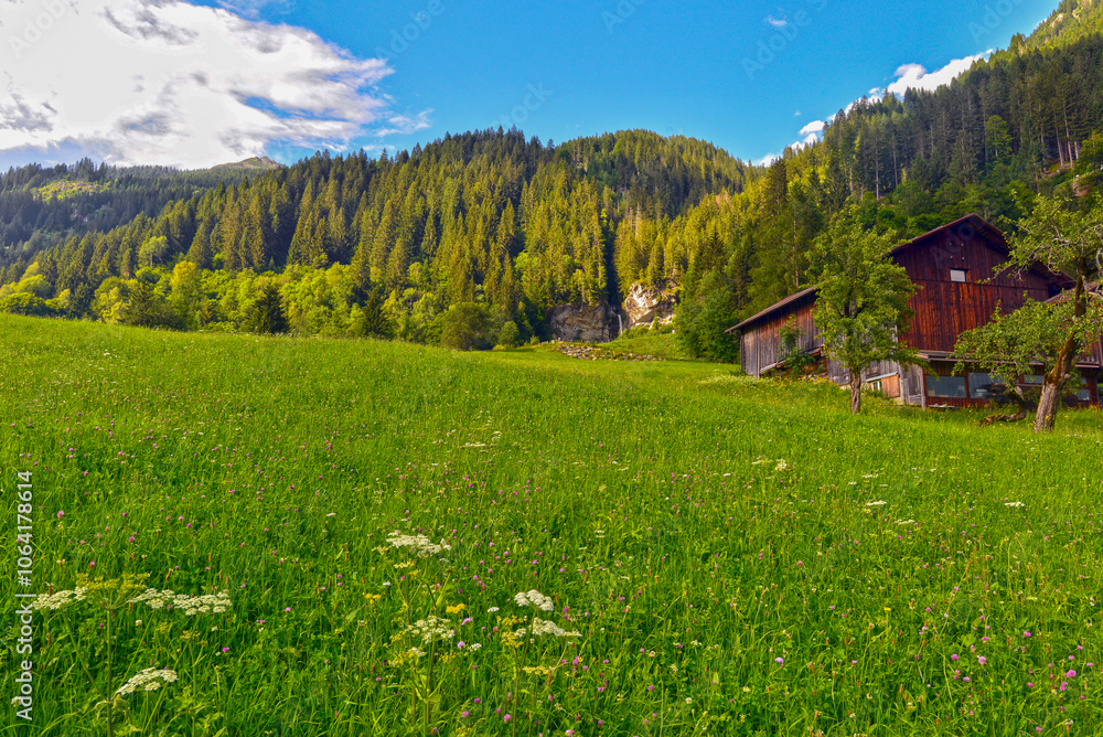Fototapeta premium Gortipohl / St. Gallenkirch im Montafon (Vorarlberg)
