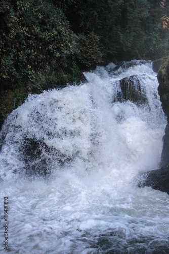 water flowing over rocks in the forest