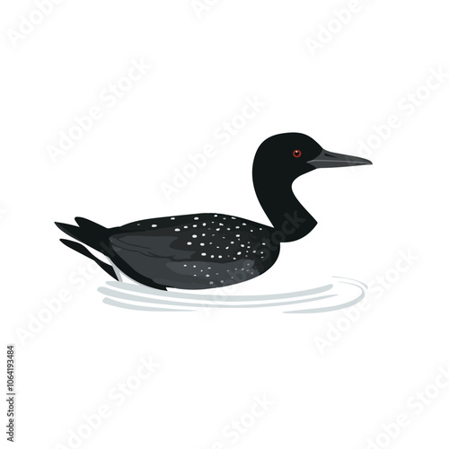 Common Loon bird vector