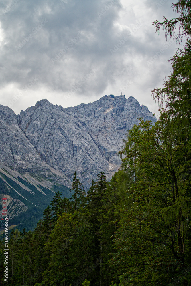 Fototapeta premium Scenic Mountain Landscape with Lush Forest