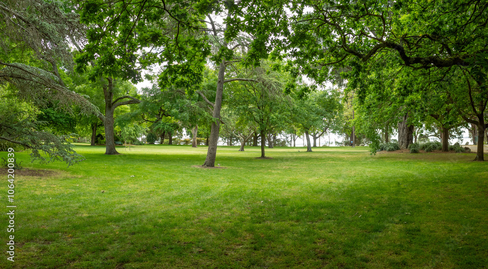 Panoramic background texture of spacious green space in a public park with various trees providing a natural canopy over a well-kept expansive lawn. outdoor recreational ground. Colac Botanic Gardens Panoramic background texture of spacious green space in a public park with various trees providing a natural canopy over a well-kept expansive lawn. outdoor recreational ground. Colac Botanic Gardens