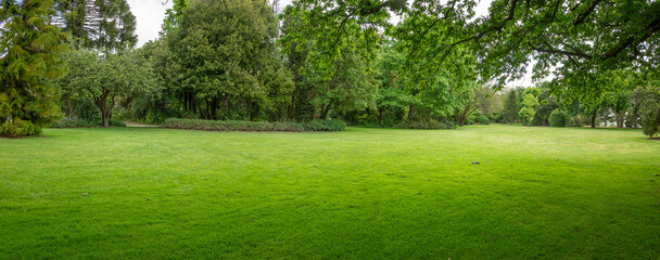 Panoramic view of a large grass field with a well-tended neat lawn against mature trees. Background texture of grass and trees in a park with vast vacant open space. Colac Botanic Gardens, Australia