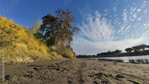 Zoom into oak tree time lapse on river beach  photo