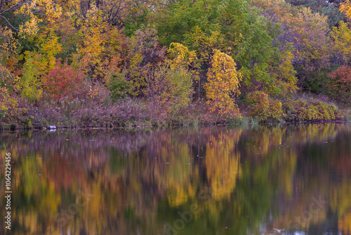 Autumn at Parc Angrignon, Quebec, Canada photo