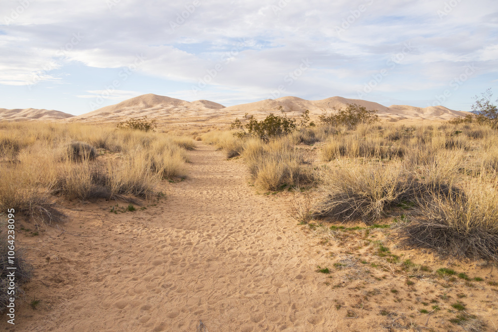Walking path to Kelso Dunes, Mojave National Preserve, California Walking path to Kelso Dunes, Mojave National Preserve, California