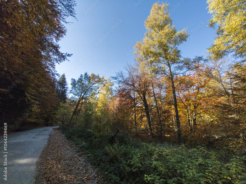 Obraz premium Autumn panorama of Vitosha Mountain, Bulgaria