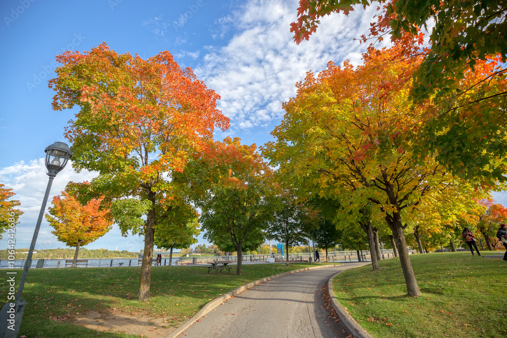 Naklejka premium Autumn colors at Old Port Montreal, Canada