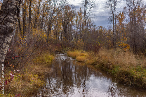 River in the autumn