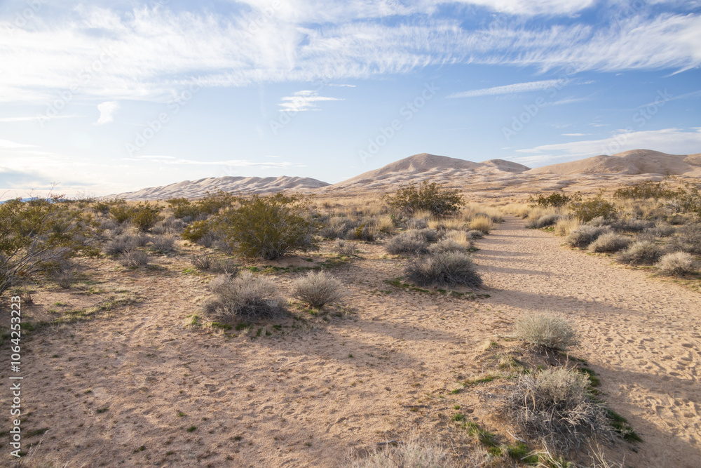 Obraz premium Walking path to Kelso Dunes, Mojave National Preserve, California