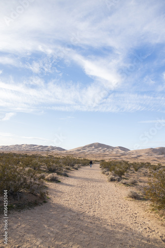 Walking path to Kelso Dunes, Mojave National Preserve, California