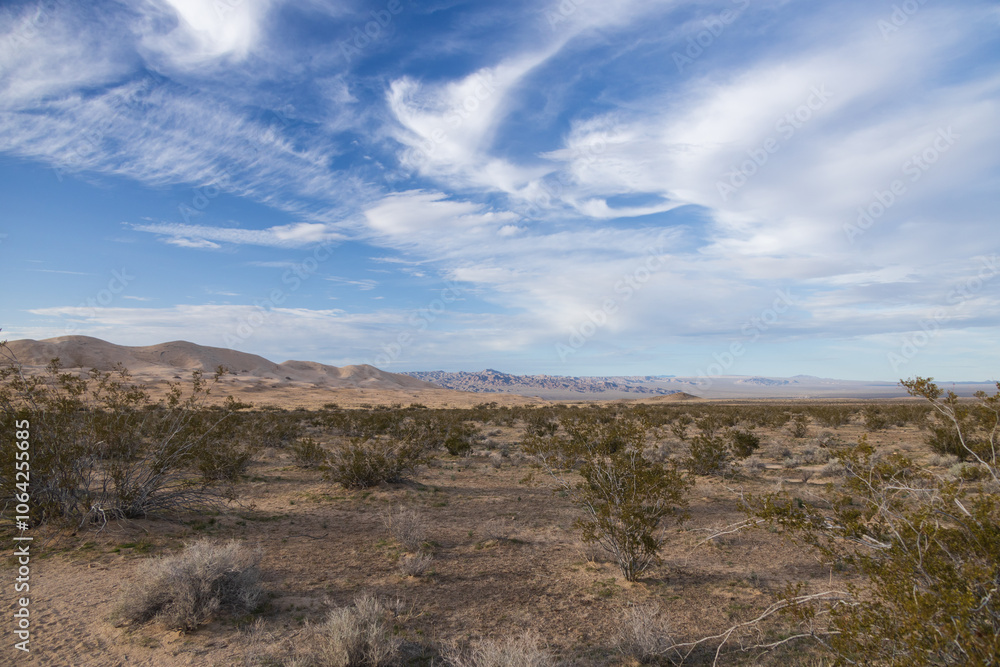 Mojave National Preserve, California
Mojave National Preserve, California