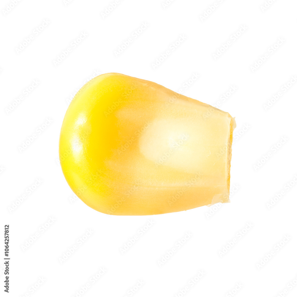 Fototapeta premium One fresh corn kernel isolated on white