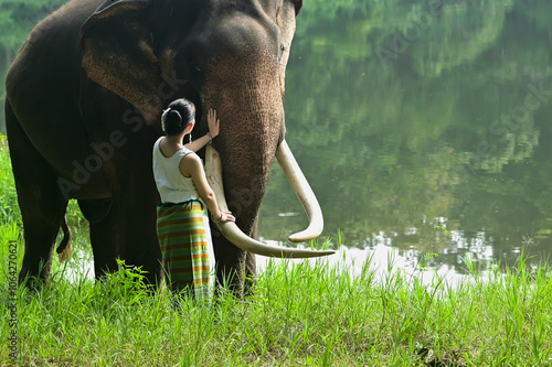 Back view woman with friendly Asian elephant relationship between woman and animal photo