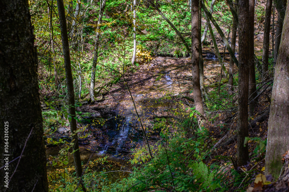 Waterfall through the Trees on the Four Mile Run Creek by the Turkey Path Trail in Leonard Harrison State Park, in Watson Township, Pennsylvania. Waterfall through the Trees on the Four Mile Run Creek by the Turkey Path Trail in Leonard Harrison State Park, in Watson Township, Pennsylvania.