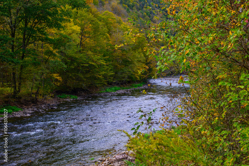 Pine Creek at the Base of the Grand Canyon of Pennsylvania at Leonard Harrison State Park, in Watson Township, Pennsylvania. photo