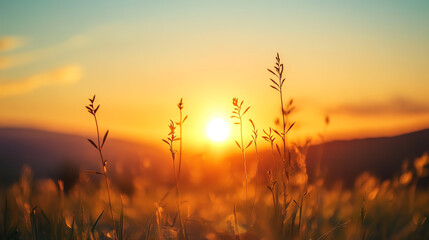 A tranquil sunrise over a field of grass, capturing the beauty of nature and the warmth of dawn.