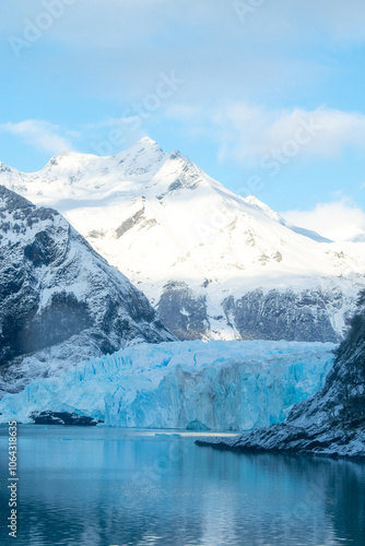 Wallpaper Mural ARGENTINEAN PATAGONIA DURING A VERY HARSH WINTER Torontodigital.ca