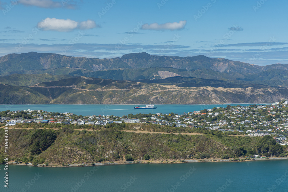 Fototapeta premium ニュージーランド ウェリントンにあるマウント・ビクトリアから見える街並み