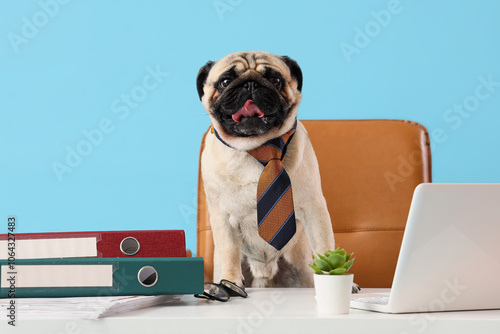 Funny pug dog with necktie ...