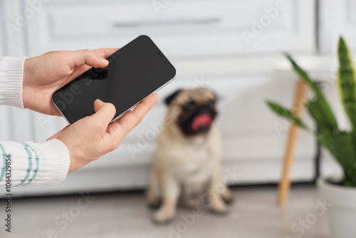 Woman using mobile phone fo...
