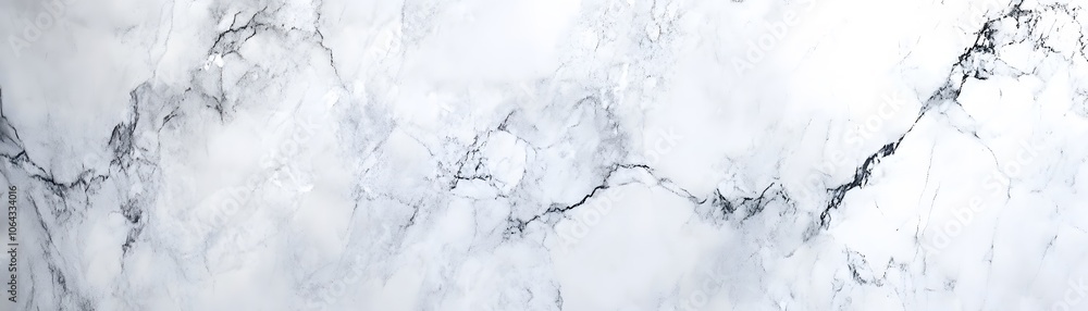 White Marble Texture with Black Veins White Marble Texture with Black Veins