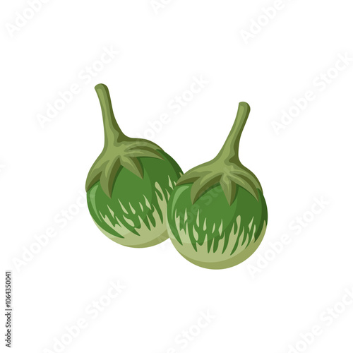 Thai round green eggplants vector