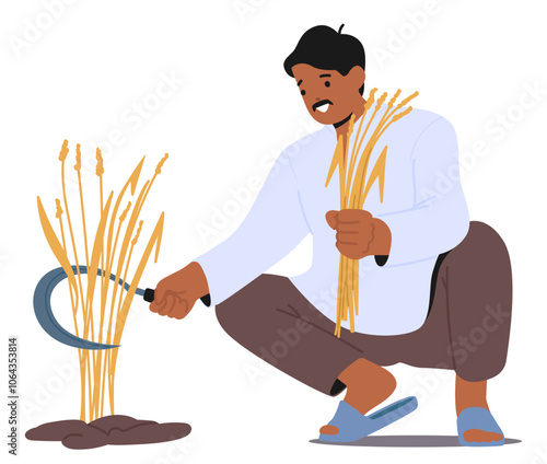 Indian Farmer Crouches To Harvest Crops By Hand Using A Sickle, Emphasizing Traditional Farming Practices