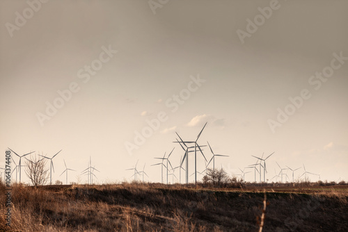 Windmills in Vojvodina, Serbia, harness wind energy as part of renewable energy initiatives, set against a rural landscape that combines technological advancement with traditional agricultural fields. photo