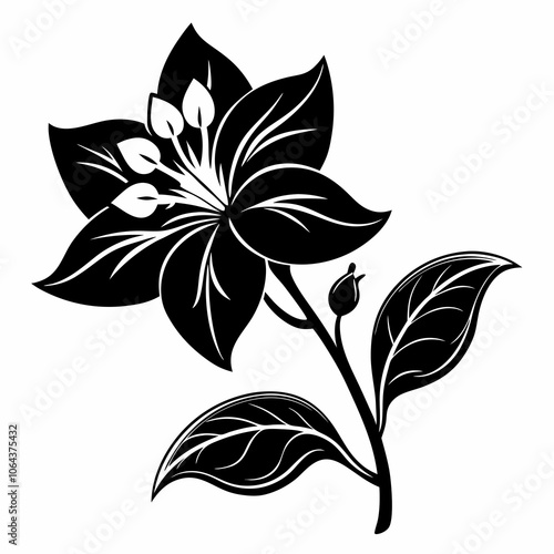 jasmine flower vector silhouette black illustration on a white background