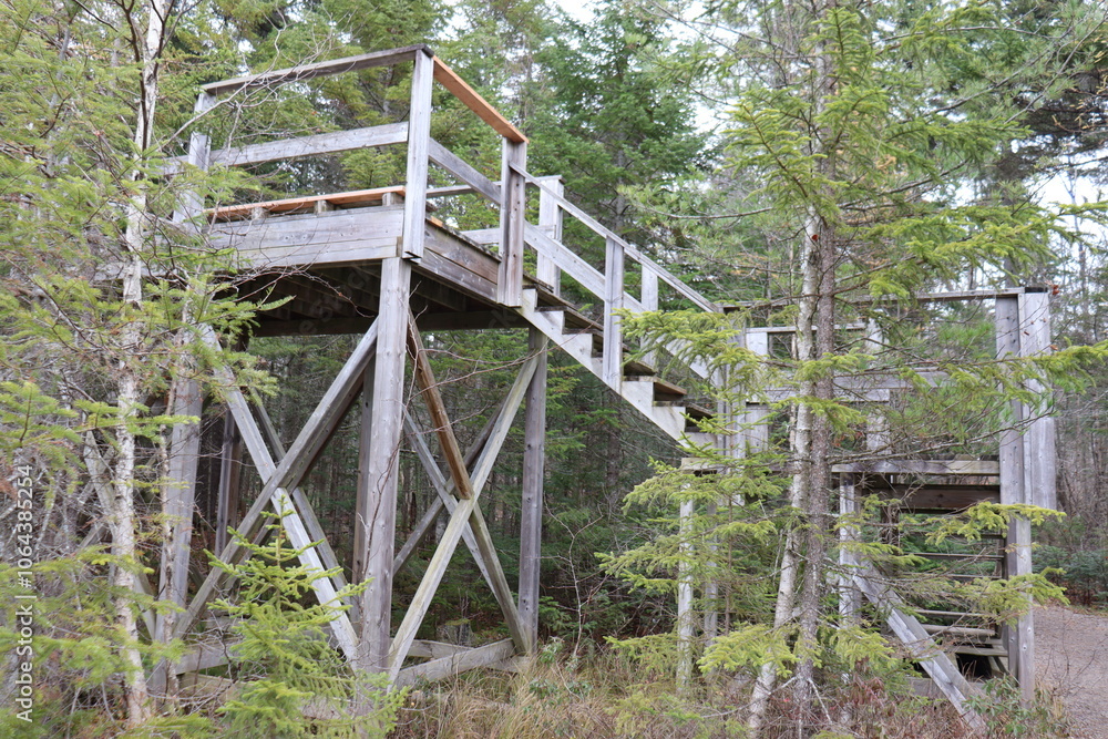A viewing tower in the forest. National and natural park and outdoor activities. Development of hiking trails with construction of wooden viewpoint. Environment and preservation of the park. A viewing tower in the forest. National and natural park and outdoor activities. Development of hiking trails with construction of wooden viewpoint. Environment and preservation of the park.