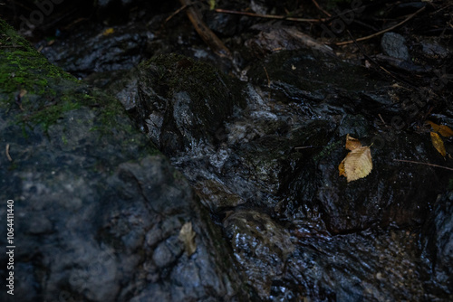 stream