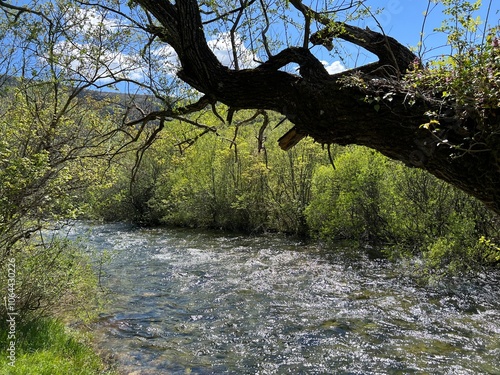 The upper course of the Zrmanja River and immediately after the source (Velebit Nature Park, Croatia) - der Oberlauf des Flusses Zrmanja und unmittelbar nach der Quelle (Naturpark Velebit, Kroatien) photo