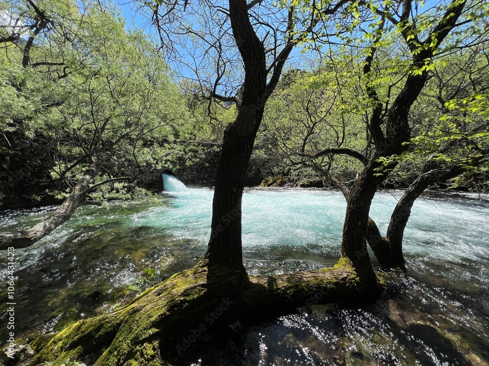 The upper course of the Zrmanja River and immediately after the source (Velebit Nature Park, Croatia) - der Oberlauf des Flusses Zrmanja und unmittelbar nach der Quelle (Naturpark Velebit, Kroatien) The upper course of the Zrmanja River and immediately after the source (Velebit Nature Park, Croatia) - der Oberlauf des Flusses Zrmanja und unmittelbar nach der Quelle (Naturpark Velebit, Kroatien)