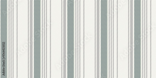 Vector checkered pattern. Tartan, textured seamless twill for flannel shirts, duvet covers, other autumn winter textile mills. Vector Format