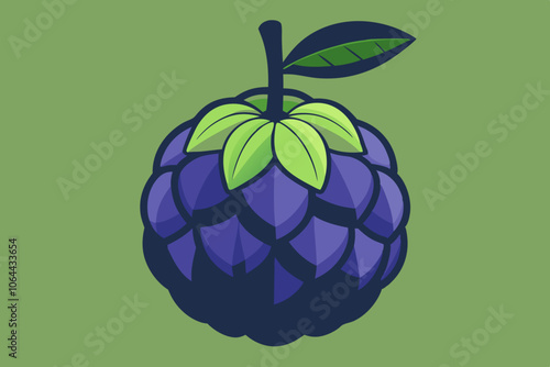  custard apple vector art illustration 