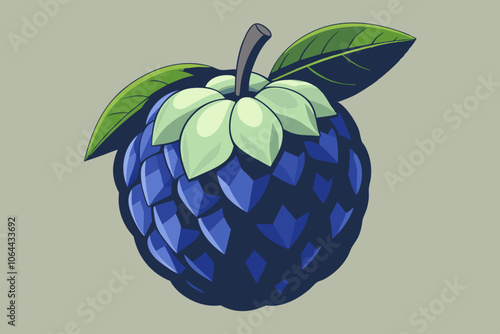  custard apple vector art illustration 