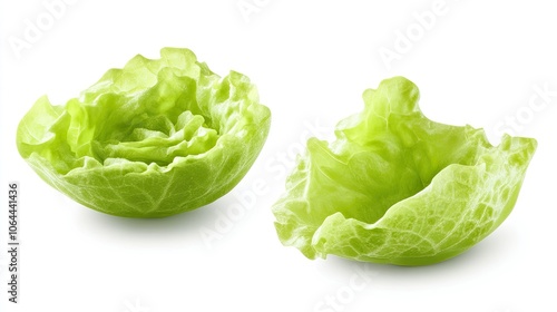 Fresh Green Lettuce for Culinary Use and Presentation