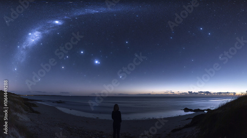 Solitude Beneath the Tranquil Night Sky