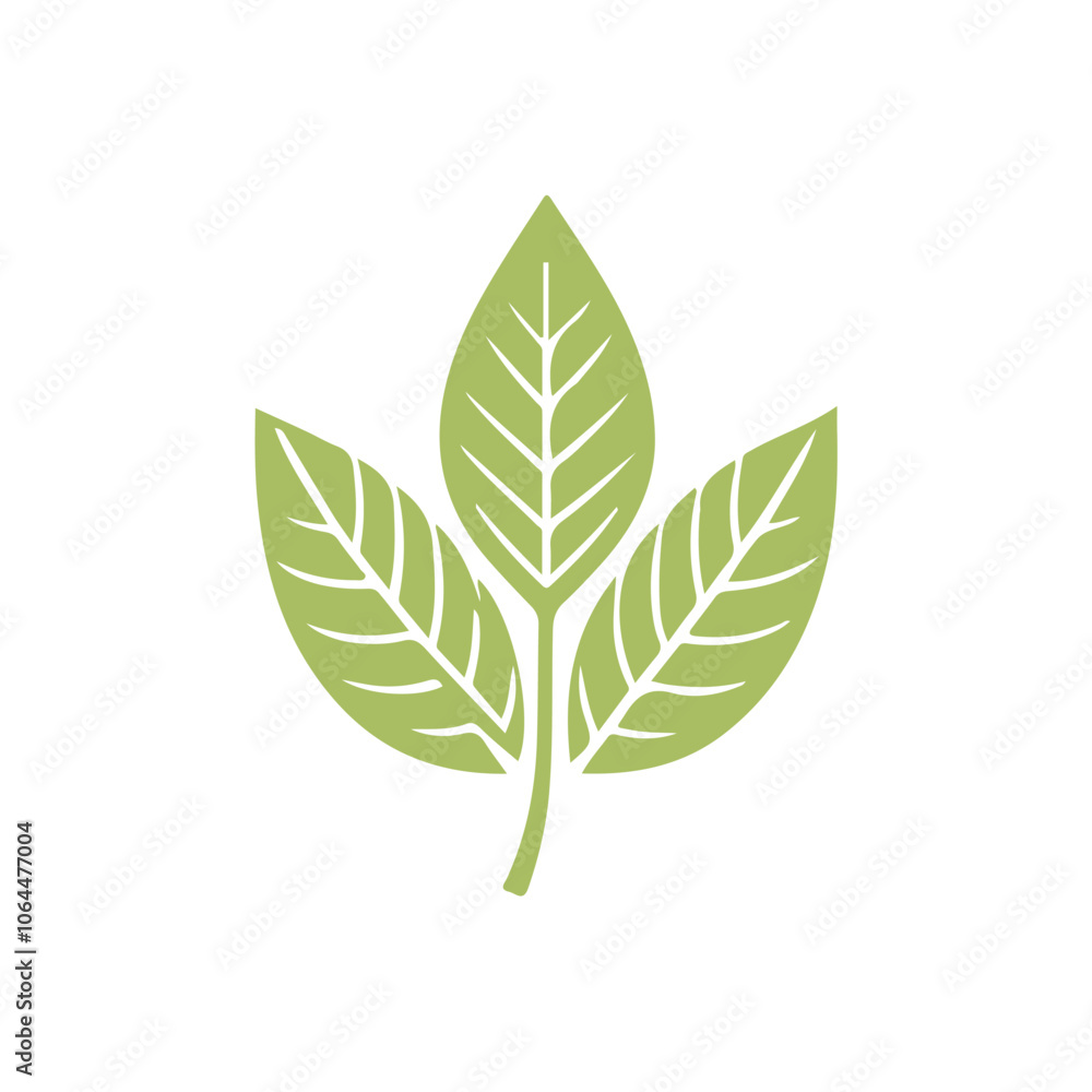 Leaf Design Logo Leaf Design Logo