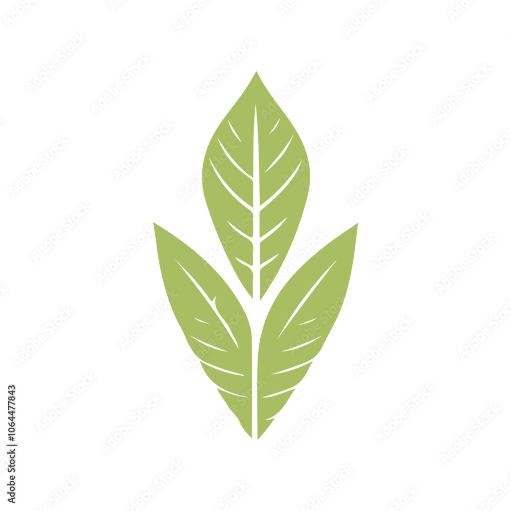 Leaf Design Logo Leaf Design Logo