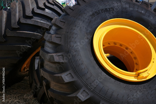 Large rubber wheels from a tractor or large truck lie in the field.