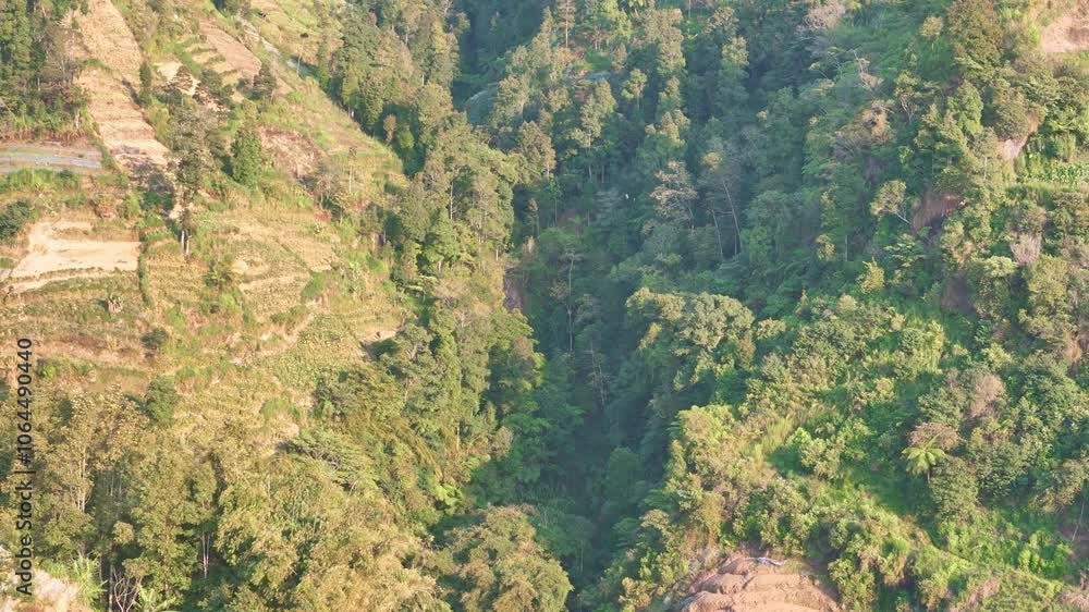 Aerial view of Valley on the mountain slopes with lush trees. Mount Sumbing, Indonesia. 4K drone footage. Aerial view of Valley on the mountain slopes with lush trees. Mount Sumbing, Indonesia. 4K drone footage.