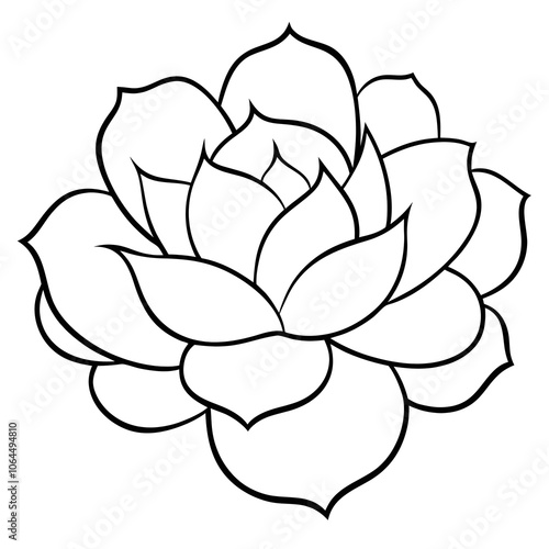 lotus flower isolated on white