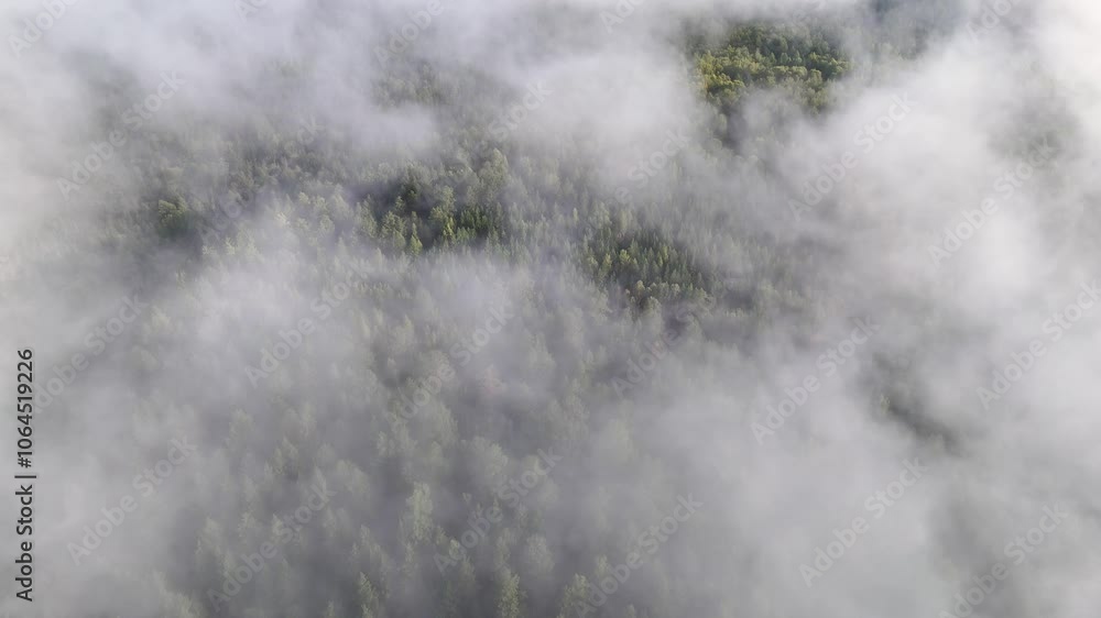 Flying above the clouds at dawn in autumn Flying above the clouds at dawn in autumn