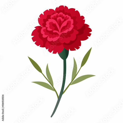 Carnation flower vector illustration on a white background