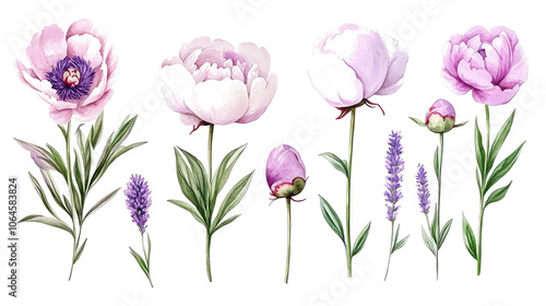 Fototapeta Naklejka Na Ścianę i Meble -  Delicate Watercolor Peonies in Shades of Pink Lavender and Purple Generative AI